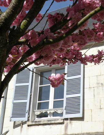 La Closerie Saint Jacques Loches Kültér fotó
